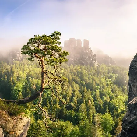 Ferienquartier- Forsthaus Appartement