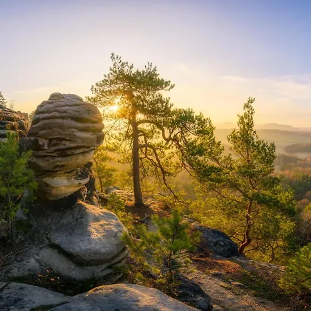 Appartement Ferienquartier- Forsthaus