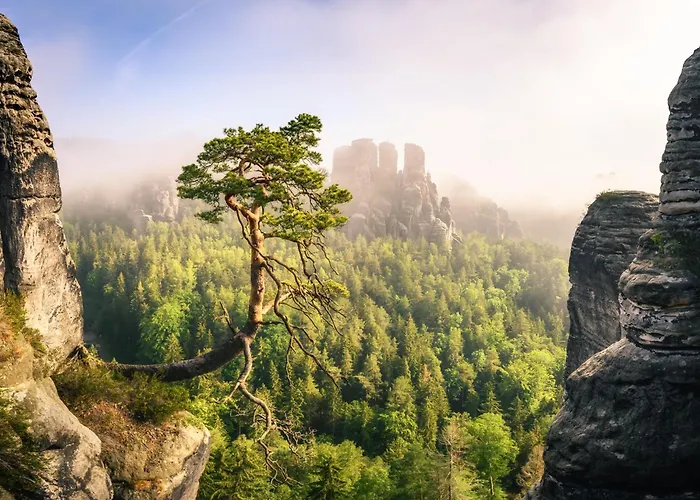 Ferienquartier- Forsthaus Appartement